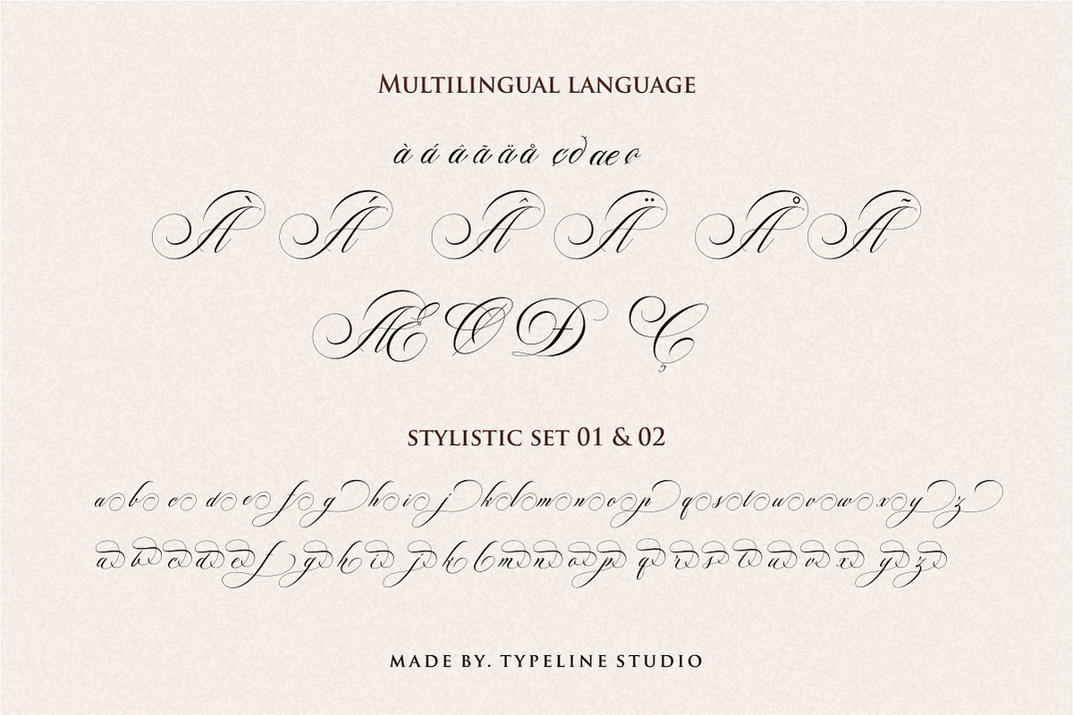 Switzerland Stylish Calligraphy, a Font by typeline studio (Photo 11 of 12)