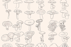 Mushrooms Digital Stamps