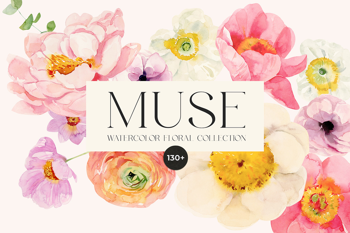 MUSE Real Watercolor Flowers, a Decorative Illustration by Lana Elanor (Photo 1 of 12)