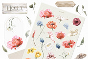 Animals Watercolor Clipart Bundle, an Animal Illustration by Cat In Colour (Thumbnail 36 of 41)