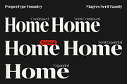 Magres, a Serif Font by Propertype (Thumbnail 5 of 15)
