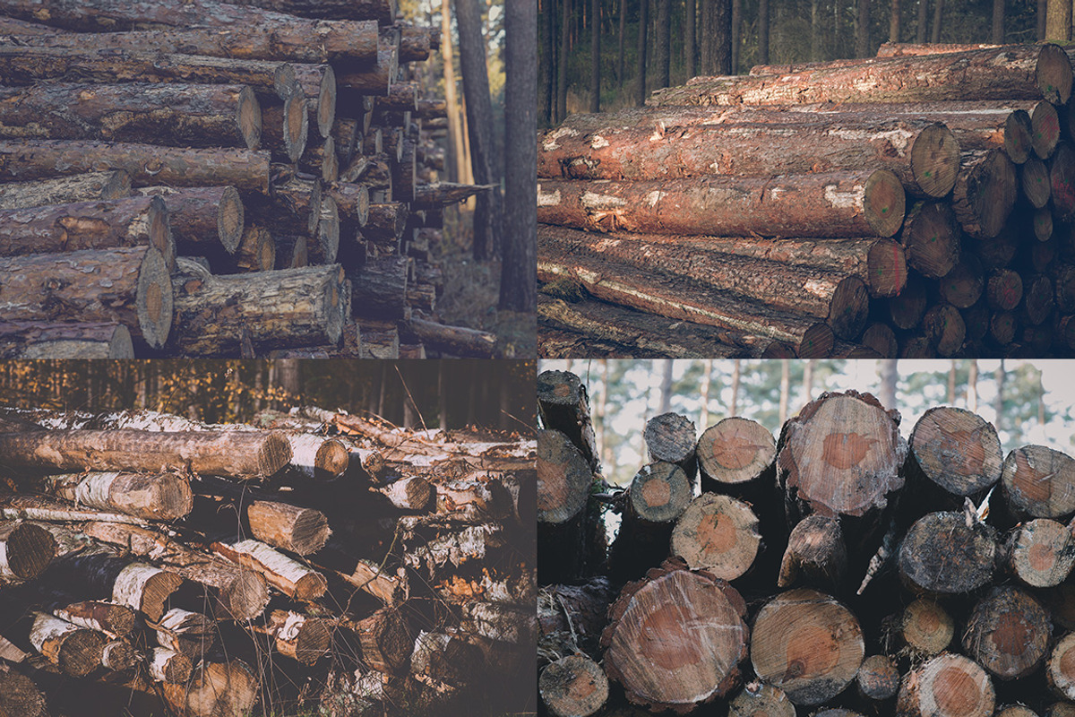 WOOD LOGS (12 Premium Photos), an Industrial Photo by PhotoMarket (Photo 3 of 4)