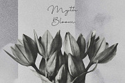 Mystic Botanical & Nature Relics, an Object Graphic by Natali Batu (Thumbnail 8 of 12)