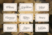 Havenite, a Serif Font by din-studio.com (Thumbnail 4 of 16)