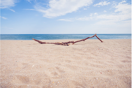 Beach on a Bright Summer Day
