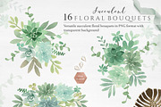 Botanist II - Airplants & Succulents, a Texture Illustration by Momo Studio (Thumbnail 13 of 15)