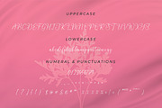 Nattalia Sillena, a Script Font by Integritype Studio (Thumbnail 9 of 15)