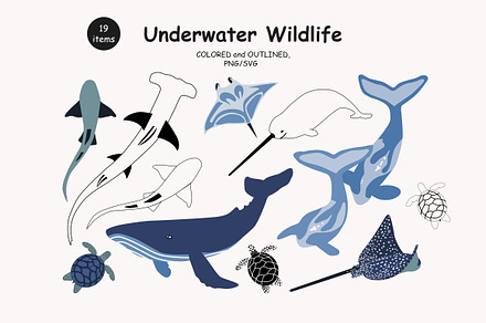 Vector Ocean Animals