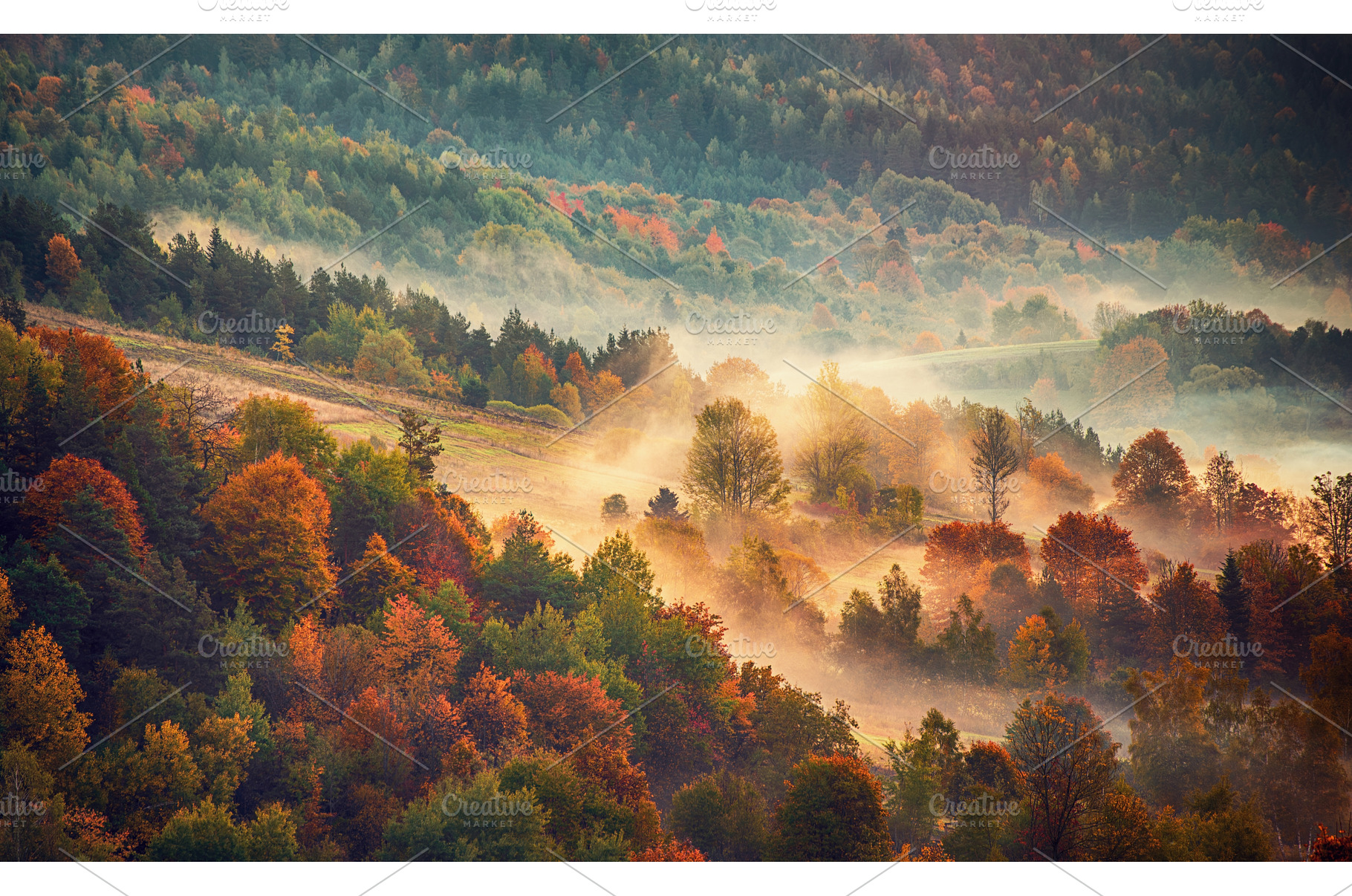 Autumn mountain landscape, a Nature Photo by Nature and travel