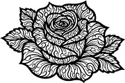 Flaming Rose Floral Ornament Vector, a Decorative Illustration by Designer_Momina (Thumbnail 9 of 21)