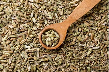 Fennel seeds in a wooden spoon, a Food & Drink Photo by innakreativ