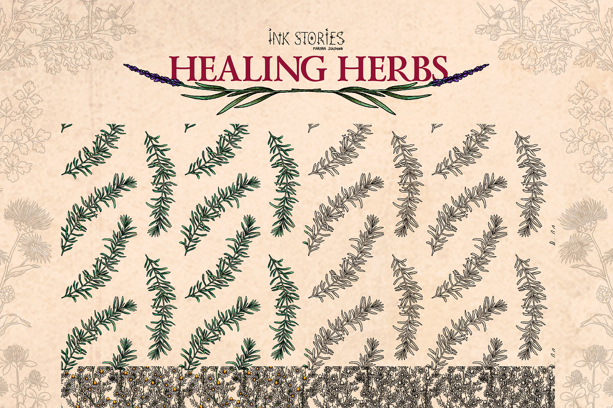 Healing Herbs * Botanical Bundle, a Healthcare Illustration by Ink Stories (Photo 6 of 13)
