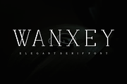 Wanxey Font, a Serif Font by albert_kalingga (Thumbnail 1 of 5)