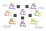 BLACK FRIDAY Delirio Font Family, a Script Font by graffistyling (Thumbnail 13 of 20)