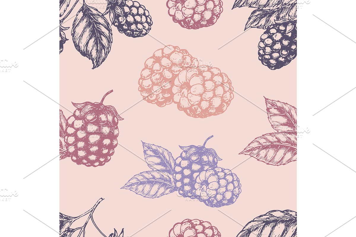 Raspberry blackberry seamless pettern. Vector illustration, a Decorative Illustration by SHom