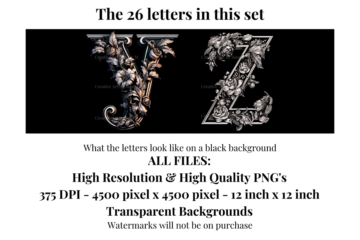 Gothic Silver Rose Alphabet Letters, a Decorative Illustration by Creative Art By SamM (Photo 5 of 10)