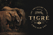 Marques Vintage Font Family + Extras, a Serif Font by Craft Supply Co. (Thumbnail 6 of 10)