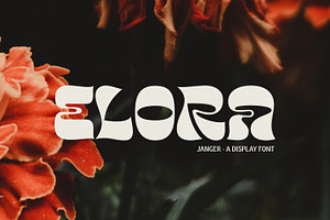 Janger Display Font