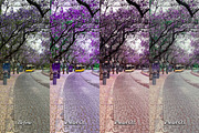 30 Magic Mauve Lightroom Collection, a Preset Add-On by 3Motional (Thumbnail 10 of 11)