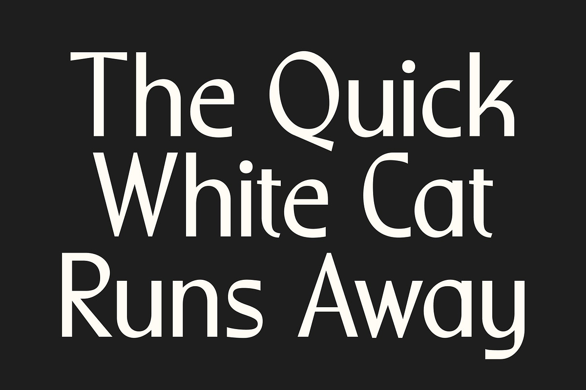 CS Riposte – Modern Sans Serif, a Sans Serif Font by Craft Supply Co. (Photo 2 of 8)