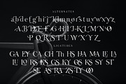 MAJESTY - GLORIOUS SERIF, a Serif Font by NendesKombet Studio (Thumbnail 13 of 15)