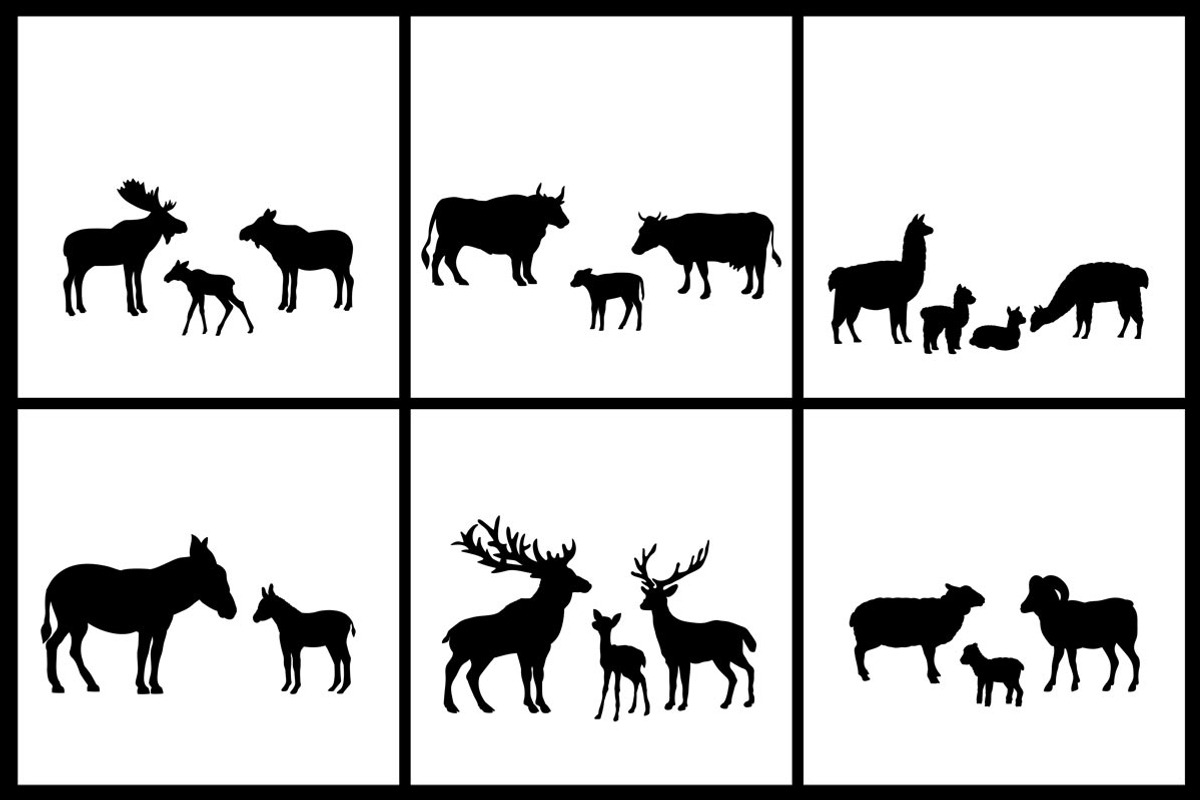 Silhouettes 50 families of animals, an Icon by kozyrevaelena (Photo 3 of 5)