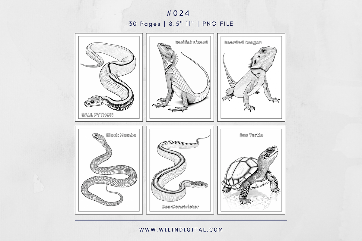 30 Reptiles Animals Coloring Pages, an Illustration by Wilin Digital (Photo 2 of 3)