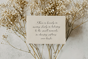 Mielssai | Beauty Chic Font, a Script Font by Denustudios (Thumbnail 9 of 12)
