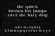 Mica Display Font, a Serif Font by Eotype Studio (Thumbnail 8 of 11)