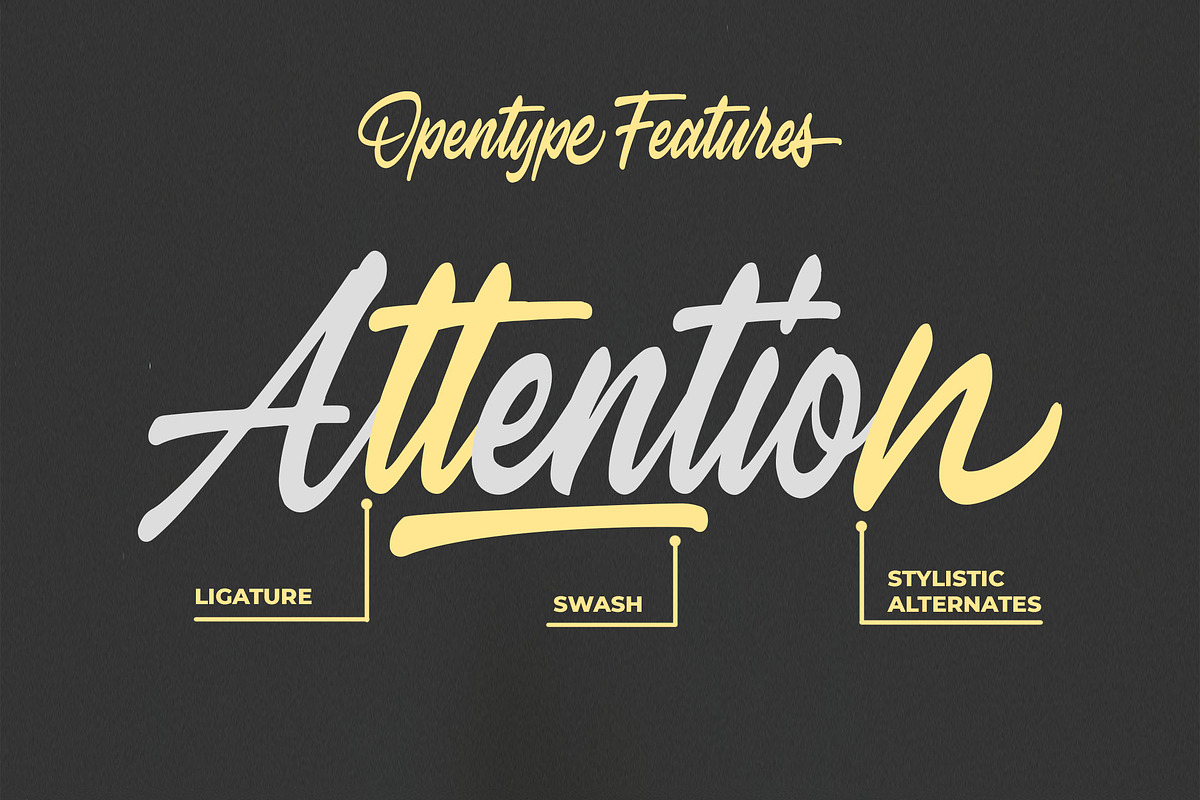 Hayline - Elegant Script Font preview 7