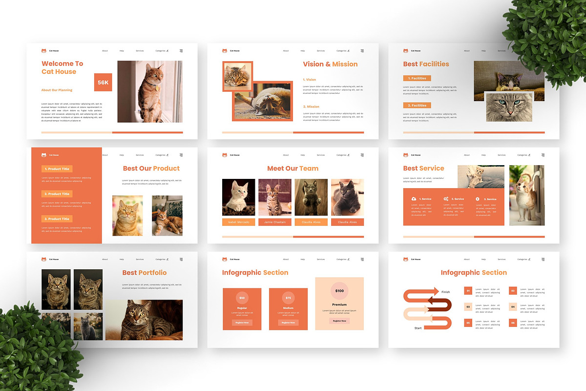 Cat House - Pet Care Google Slide preview 3