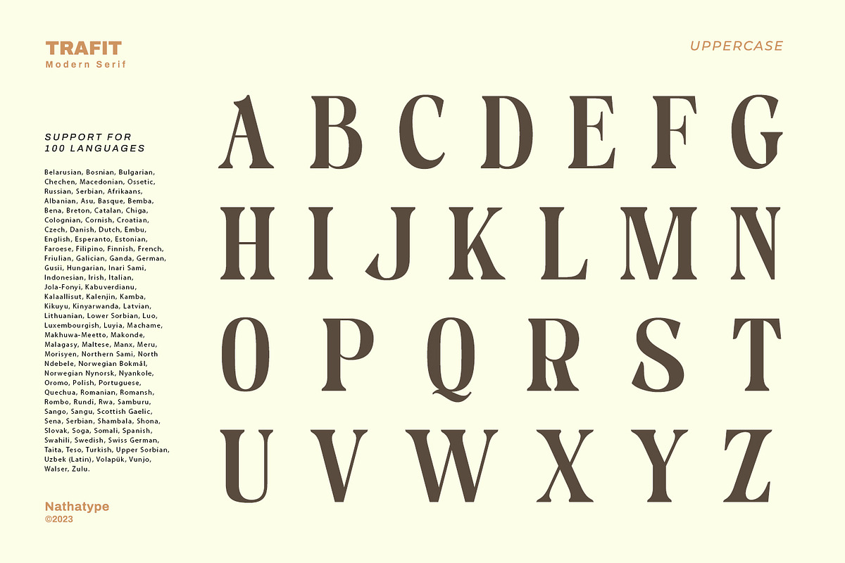 Trafit, a Serif Font by Nathatype (Photo 8 of 10)