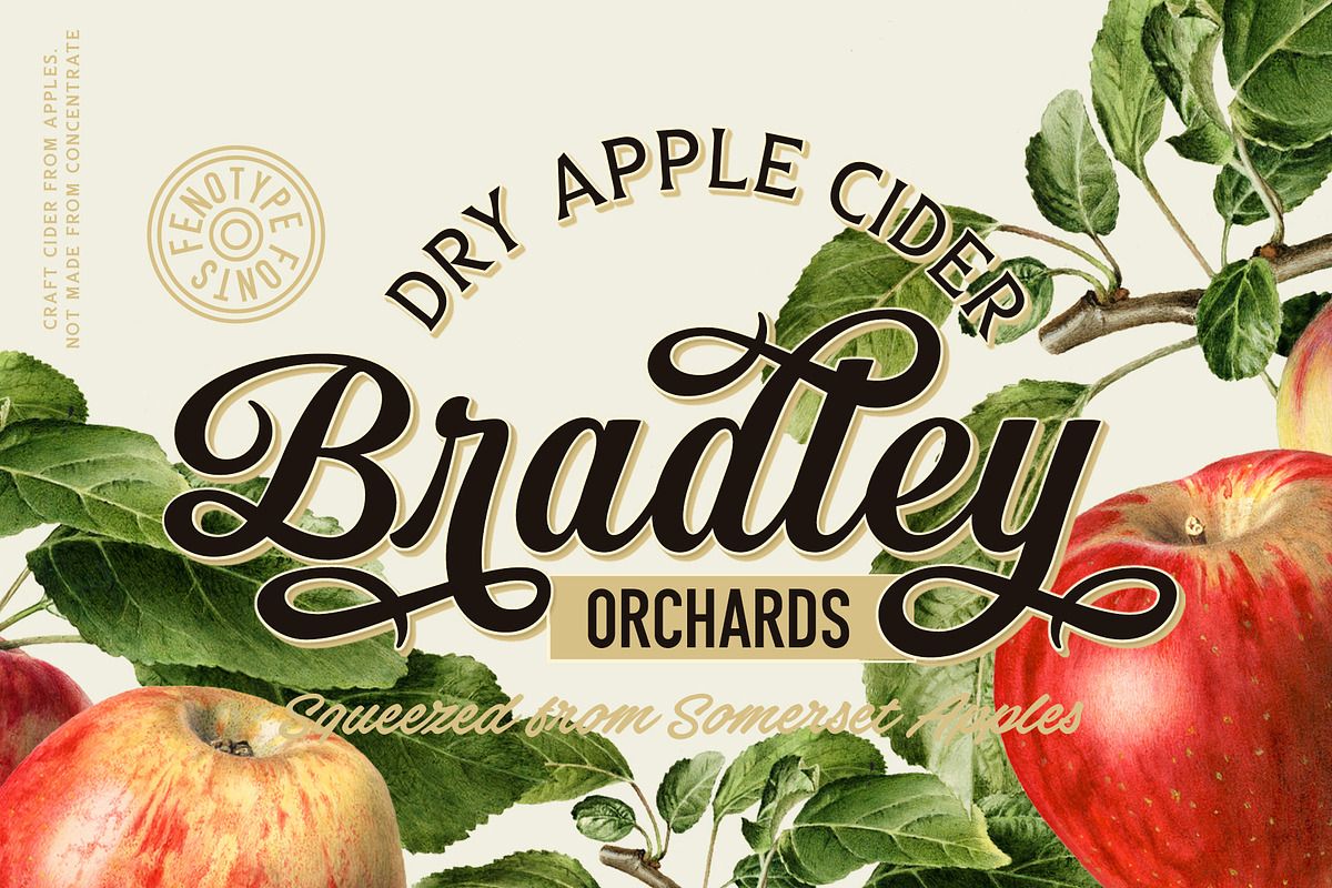 Gambler Script, a Script Font by Fenotype