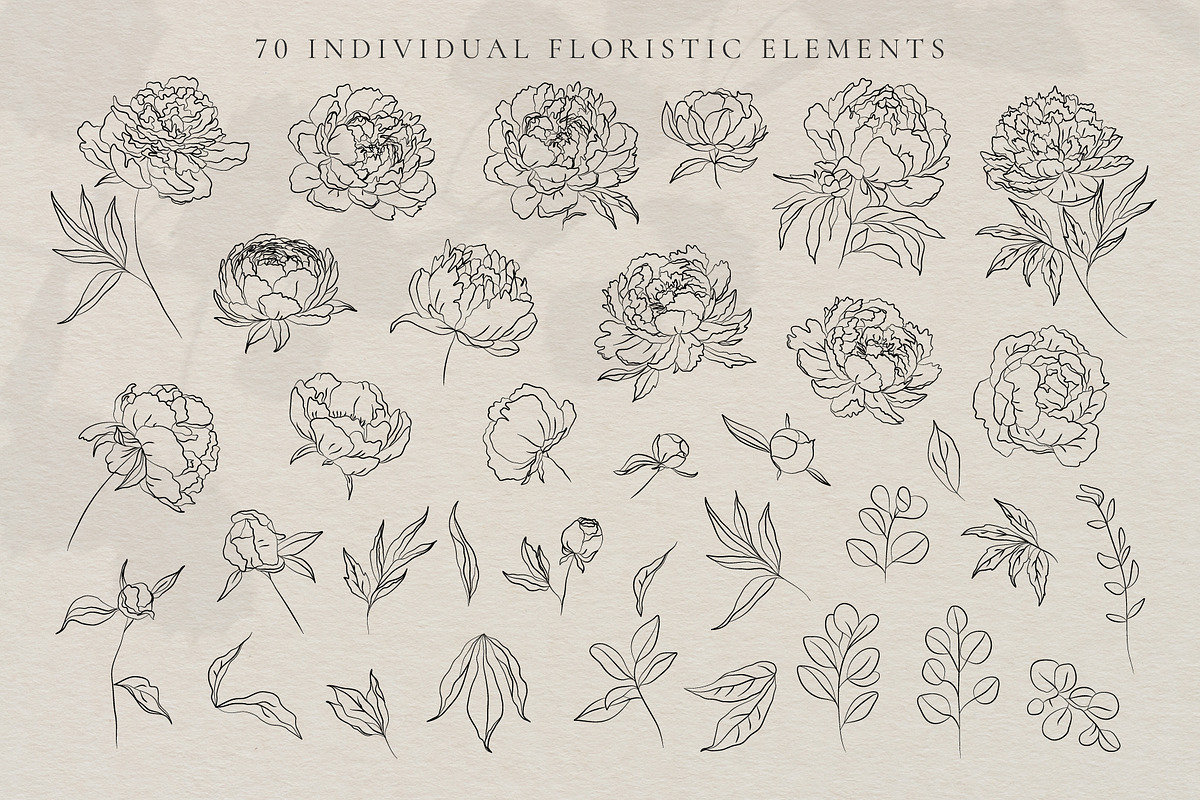 Line Art Peonies Illustrations, a Decorative Illustration by La Petite Line Art (Photo 2 of 11)