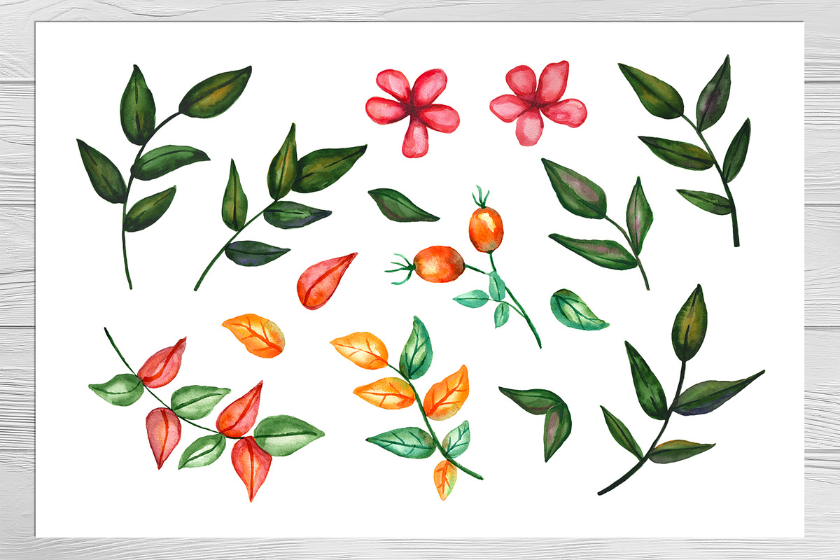 Magic plants and witch's terrariums, an Illustration by Olha's watercolor (Photo 6 of 8)
