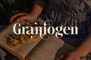 Sadega - Elegant Serif Font, a Serif Font by Jimoji (Thumbnail 7 of 11)