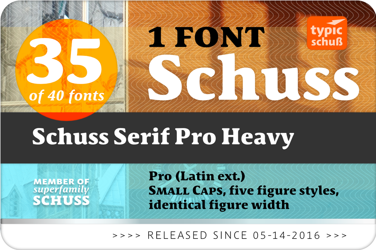 SchussSerifProHeavy No.35 (1 Font) preview 2