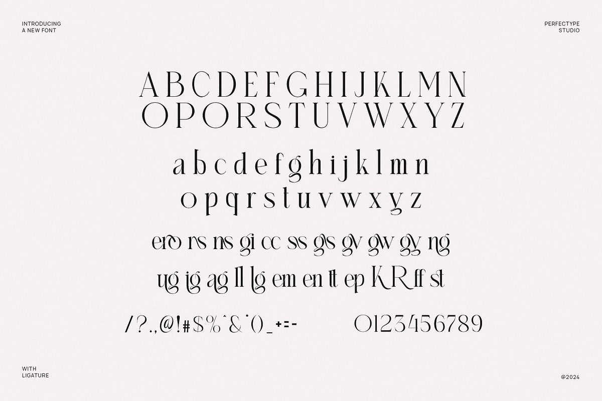 Kalleros Elegant Ligature Serif Font, a Serif Font by Perfectype (Photo 6 of 6)