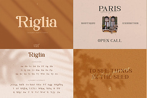 The Modern Font Bundle