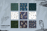Magic owls: 280 elements for design, an Animal Illustration by Shusha Guna Art (Thumbnail 8 of 23)