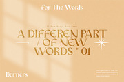 Mariona Luxury Serif Font, a Serif Font by Compaq_Creative (Thumbnail 5 of 15)