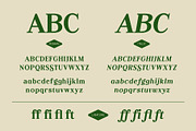 Monagi – Retro Golf Serif Font, a Serif Font by Drizy (Thumbnail 3 of 10)