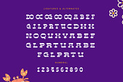 Disco Groov Retro Playful Serif, a Serif Font by timelesstype.co (Thumbnail 19 of 20)