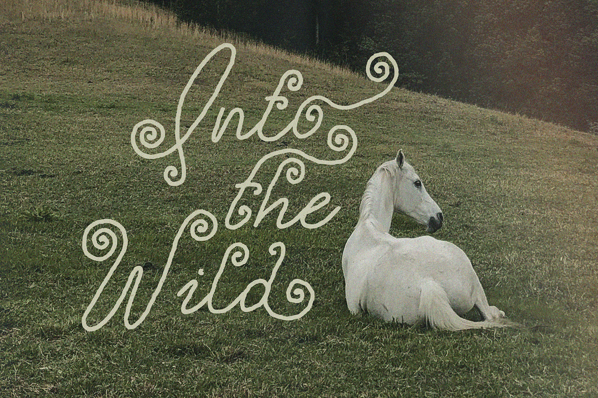 Curly Story Cute Script Font, a Script Font by AnMark (Photo 3 of 11)