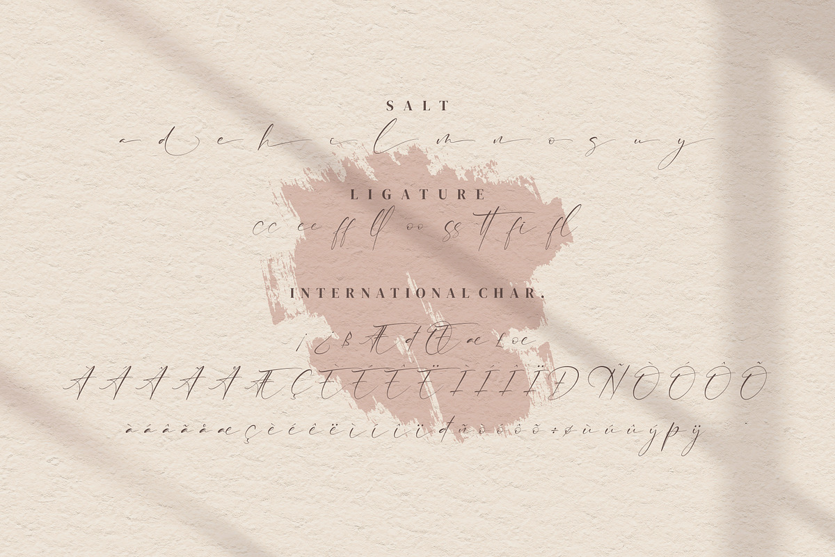 Anthoni Signature, a Handwritten Font by Integritype Studio (Photo 7 of 8)