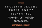 BOSQUE, a Sans Serif Font by Alpha Bento (Thumbnail 4 of 5)