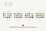 17 Procreate Color Palette - BUNDLE, a Palette Add-On by slowlivecreate (Thumbnail 6 of 7)