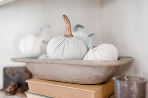 Fall Styled Images