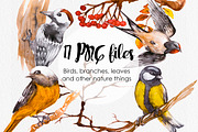 Watercolor Russian Birds, an Animal Illustration by Anna Faun (Thumbnail 2 of 4)