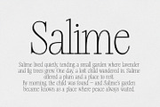 Silver Point–Elegant Editorial Serif, a Serif Font by Issam Type (Thumbnail 15 of 21)